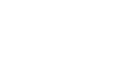 Turbo XS Standard Boost Controller